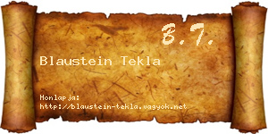 Blaustein Tekla névjegykártya